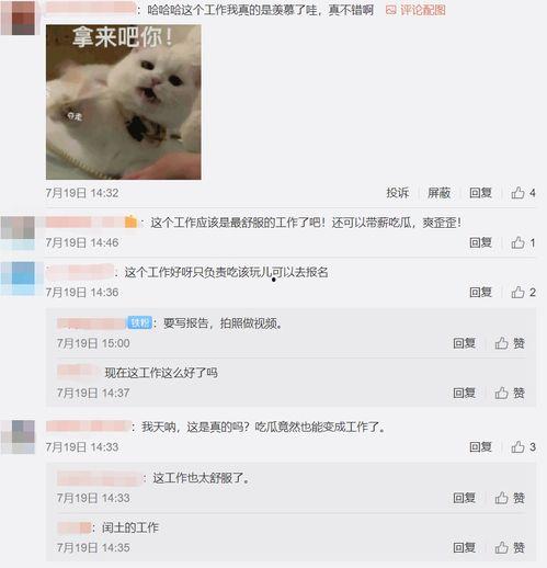 吃瓜视频挣钱吗,揭秘如何通过观看视频轻松赚钱