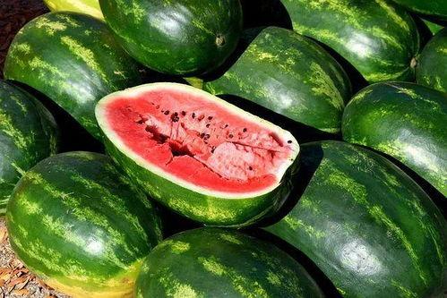有趣吃瓜视频素材无水印,无水印素材背后的趣味故事