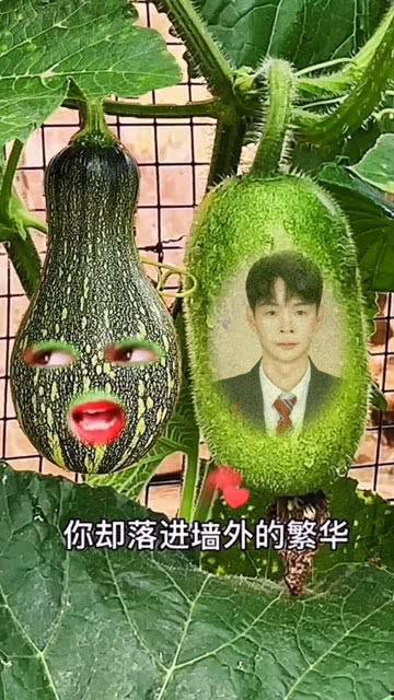 吃瓜大王特效视频大全免费观看,带你领略视觉盛宴