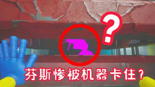 评论区吃瓜视频怎么找回,揭秘找回方法
