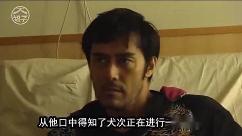 吃瓜大叔真实版图片视频,揭秘真实吃瓜瞬间