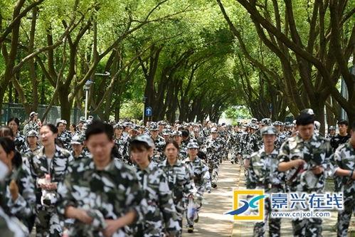 军训吃瓜视频,吃瓜视频揭秘萌新日常