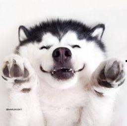 帅气吃瓜群众视频素材,揭秘视频素材中的趣味瞬间