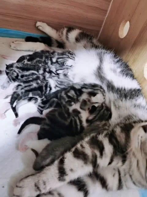 吃瓜群众笑死自己视频,视频爆笑全场