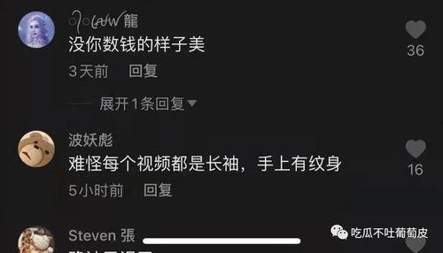 抖音网红吃瓜视频网站入口,热门视频网站入口大揭秘
