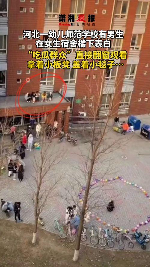 吃瓜视频女生宿舍,揭秘吃瓜视频中的女生宿舍生活