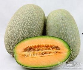 猫猫会吃哈密瓜吗视频,揭秘猫猫对哈密瓜的神奇反应