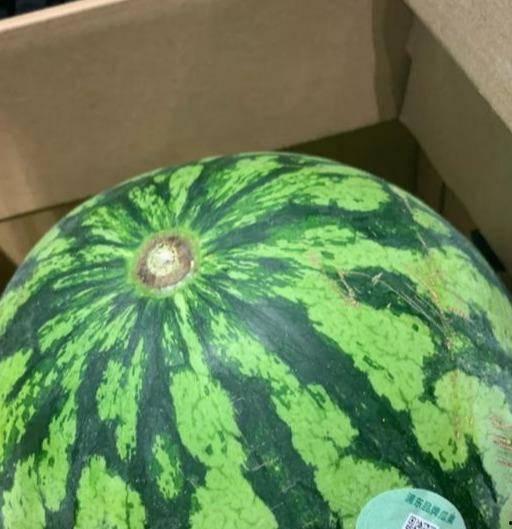 假吃瓜怎么做好吃视频,轻松学会美味假瓜料理