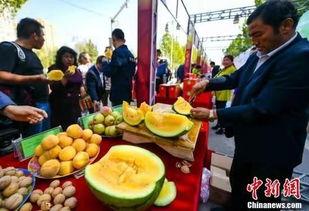 新疆最新吃瓜新闻视频