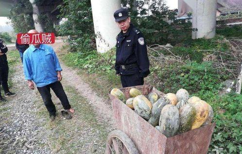 宁陵县吃瓜事件真相视频