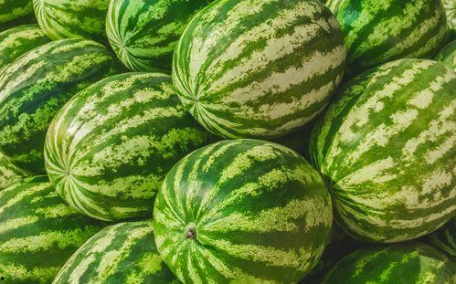 吃瓜视频素材哪里找到的,吃瓜视频素材的来源大揭秘